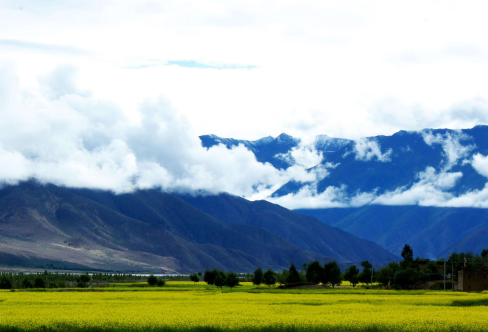 1708472300731239.png image.png