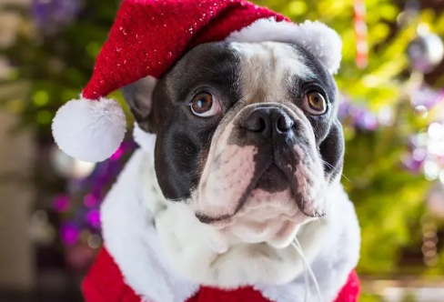 1708473132794323.png image.png