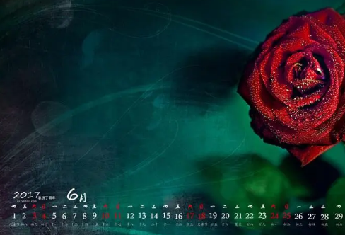 1708473298892694.png image.png