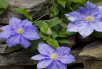 ​伤感扎心语录 特别伤感的扎心情感语录(精选72句)