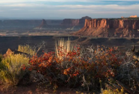 ​酷酷的滕我爱你语录 酷酷的滕我爱你大全(精选46句)
