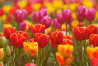 ​经典渣女语录 2024版最新渣女语录大全