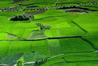 ​健身励志语录大全 关于健身经典语录(精选78句)