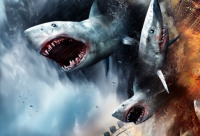 ​关于30岁抖音语录(精选84句)