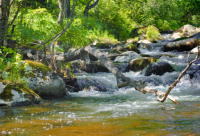 ​八月正能量语录大全