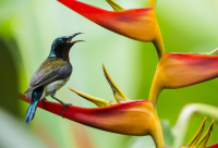 ​男人成熟沧桑霸气情感语录(精选73句)