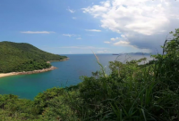 ​最近很火的经典短句 最火情感语录经典短句