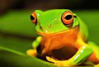 ​中考语录简短 中考加油励志语录简短文案(精选72句)