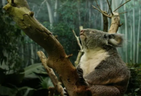 ​超拽霸气社会语录50句