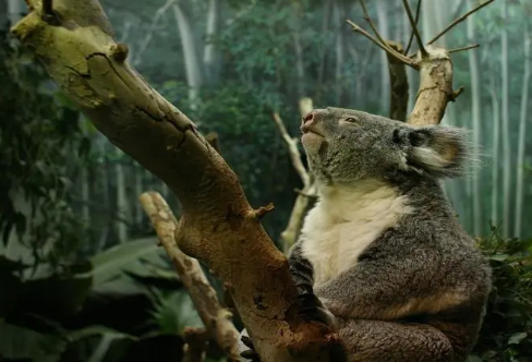 1708490440133983.png image.png