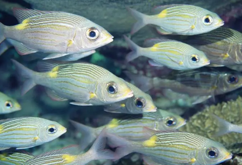 1708490939304751.png image.png