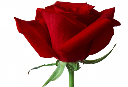 1709192577103753.png image.png