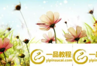 ​2024立春说说心情句子文案新颖