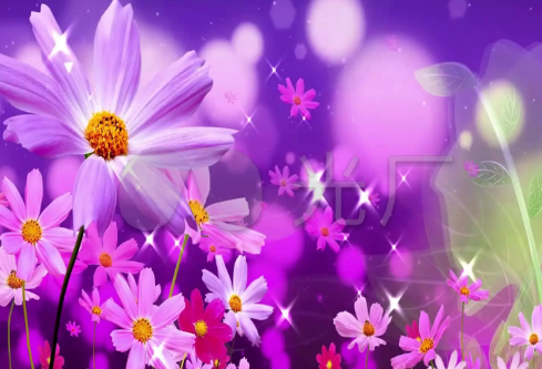 1709192909508205.png image.png