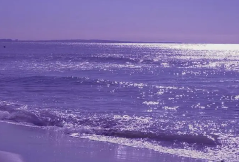 1709193075105552.png image.png