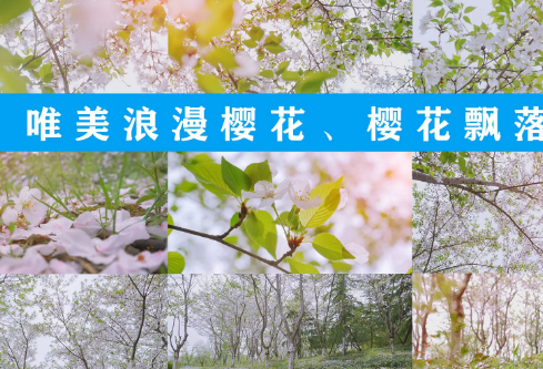 1709197393291282.png image.png