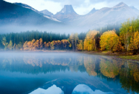 ​神兽放假了朋友圈说说 神兽又要放假了的说说