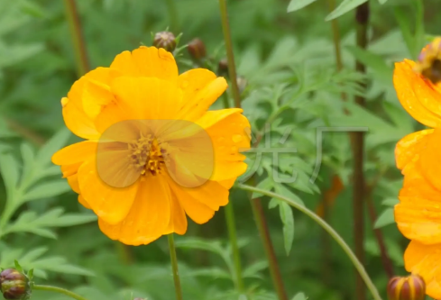 1709197891196827.png image.png