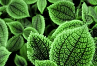 ​神兽放假了朋友圈说说 放假了神兽回笼说说