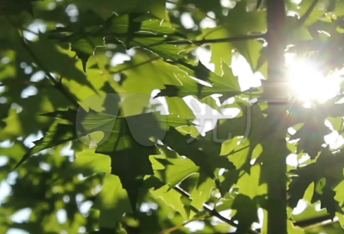 1709199385118401.png image.png