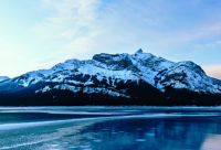 ​神兽放假了朋友圈说说 神兽准备放假了说说