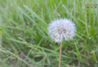 ​十二你好的说说 十二月你好说说心情短语2024疫情期间（精选）