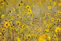 ​关于2024新年快乐愿望说说（精选50句）