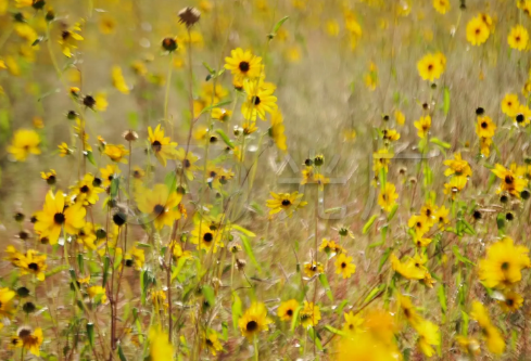 1709207676823628.png image.png