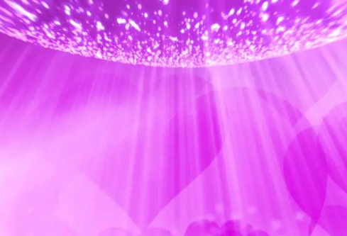 1709208009504590.png image.png