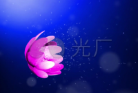 ​关于忘掉2024迎接2024的唯美说说（精选）