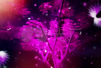 ​越在乎越心痛的说说 特别心痛的句子疫情期间