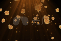 ​关于孩子努力奋斗的句子说说心情 为孩子奋斗的句子说说心情