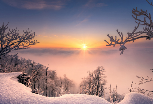 1709209504711917.png image.png