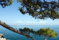 ​非常落魄的说说 人穷落魄的经典语录(精选)