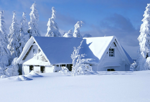 1709211332123329.png image.png