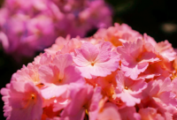 ​关于女人攒够了失望的说说 女人攒够了失望的句子（精选）