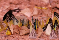 ​户外活动发朋友圈说说精选