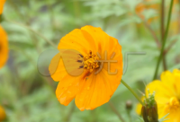 ​下班回家的心情说说精选