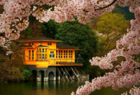 ​不愿意过生日的说说2024疫情期间（精选）