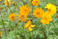 ​马上跨年的说说精选