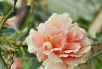 ​关于天冷了的简单暖心话语天凉了记得添衣服说说句子