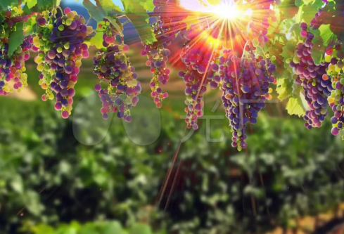 1709226106109743.png image.png