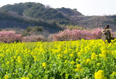 1709231254105225.png image.png