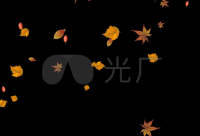 ​跑步的句子说说心情精选