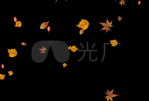 1709231586114447.png image.png