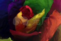 ​告别二月迎接三月的优美说说2024疫情期间（精选）