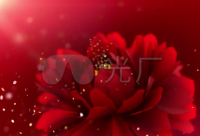 ​忙碌的一天结束了说说精选