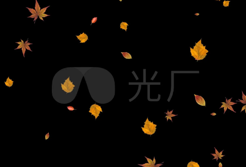 1709232582183788.png image.png