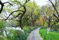 ​彻底死心寒心的说说精选