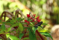 ​2024十一月再见十二月你好的心情说说 写给十二月的走心文案